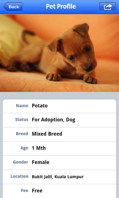 pet finder ph|Android Apps by Pet Finder Philippines on Google Play.